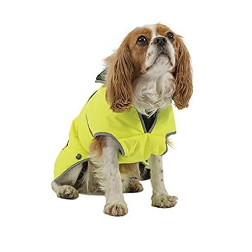 ANCOL ΑΔΙΑΒΡΟΧΟ ΜΠΟΥΦΑΝ ΓΙΑ ΣΚΥΛΟΥΣ ΦΩΣΦΟΡΙΖΕ