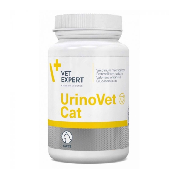 Untitled Project (4)