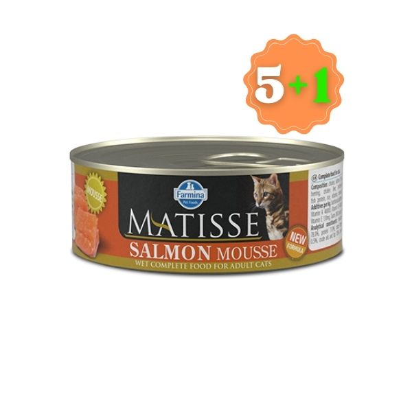 MATISSE SALMON 85GR 5+1